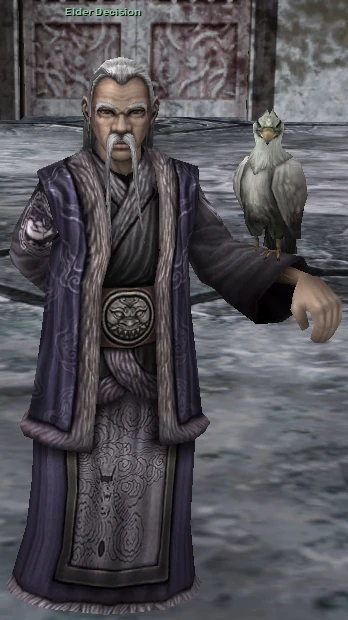 1) Talk to the Elder NPC