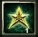 Amulet Star