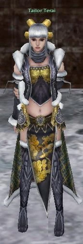 1) Take the Wings to the Tailor NPC